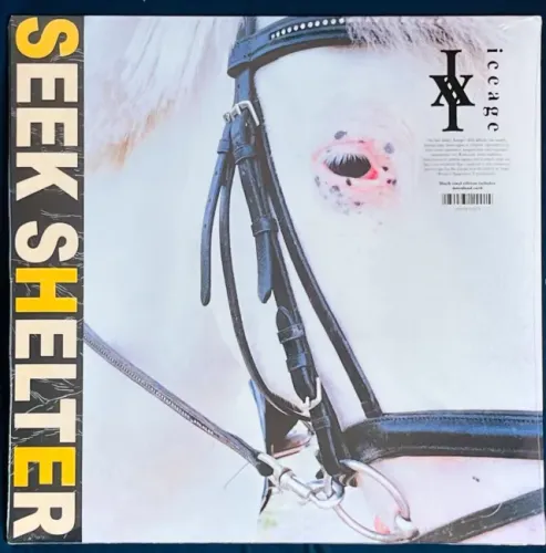 LP Iceage - Seek Shelter