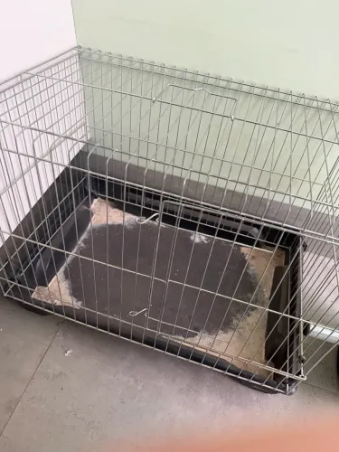 GAIOLA PARA HAMSTER