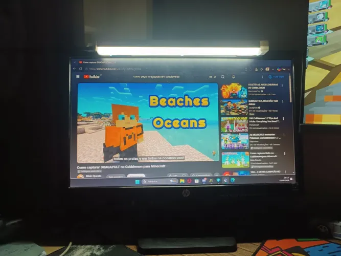 Monitor HP