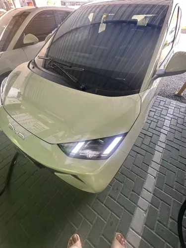 BYD Dolphin Mini (Elétrico) 2025