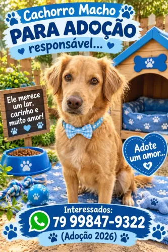 Adoção
