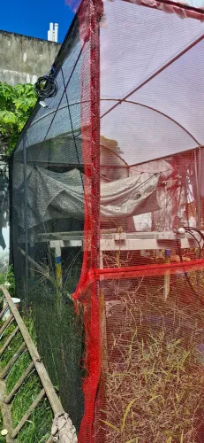 Mine Estufa agrícola