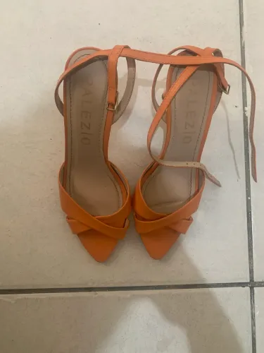 Salto palezio laranja