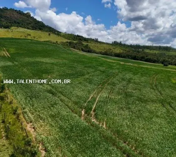 Área Rural para Venda em Arapoti, RURAL