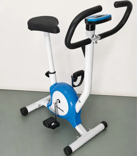 Bicicleta ergométrica