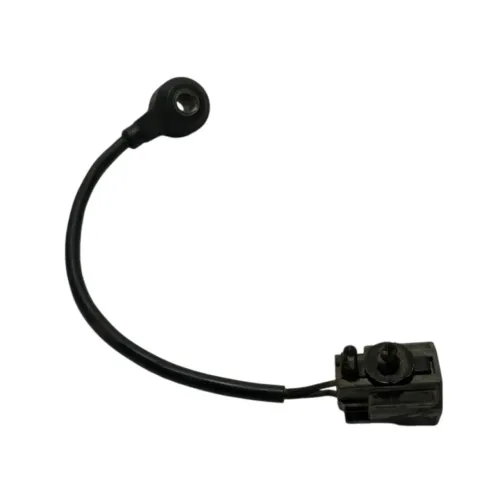 Sensor De Detonação Ford Ecosport 2.0 16v 2004 A 2007