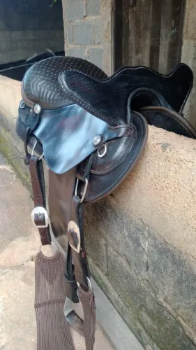 Cela de cavalo, Australiana, da Marca Ribeirão, top top