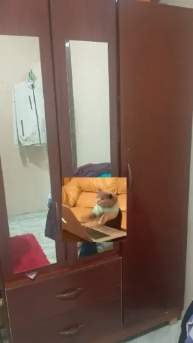 Vendo guarda roupa 