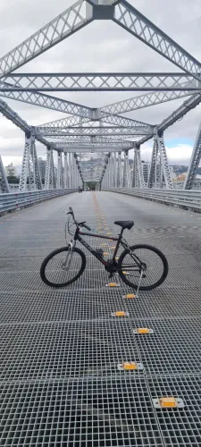 Bicicleta Caloi Aro 29
