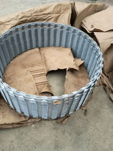 Concertina 2 caixa de 10 m cada