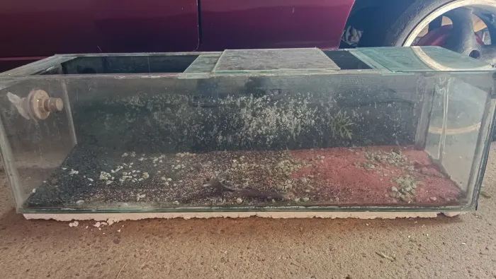 Aquário 80 litros