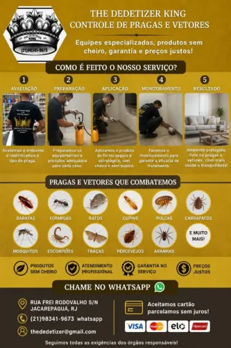 Dedetização 