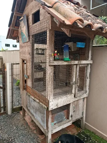 Vende se um aviário que pode servir como galinheiro