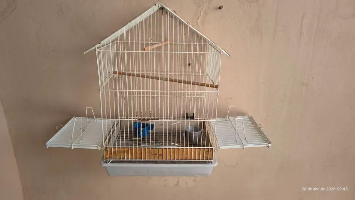 Vendo Gaiola para pássaro 