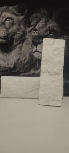 Gesso 3D