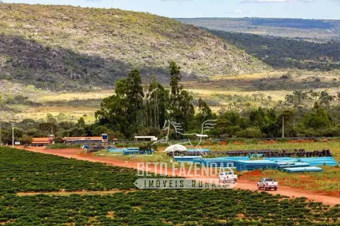 Imóvel para venda tem  metros quadrados em Zona Rural - Augusto de Lima - MG