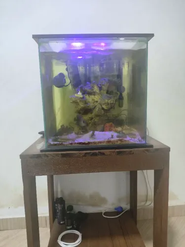Aquário marinho completo com móvel 