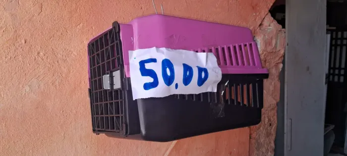 Caixinha de transporte de gato ? 