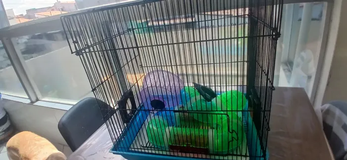 Casinha para hamster