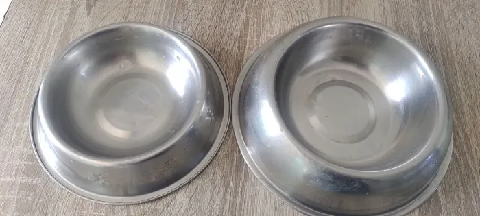 Pote de cão 