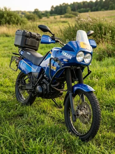 Troco Tenere 600 1990