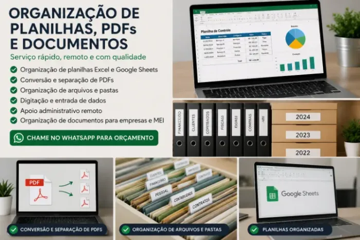 Organização de Planilhas, PDFs e Documentos