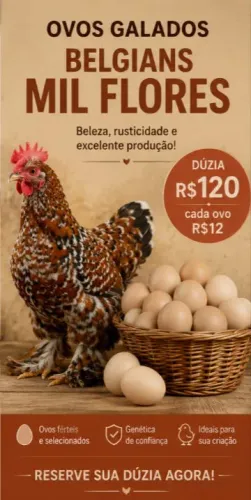 Ovos galados de Belgian Mil Flores