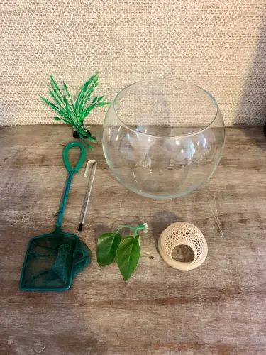 Kit completo aquário para Bettas