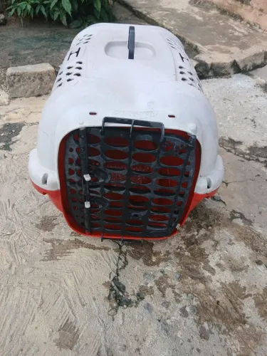 Casinha de transporte para cachorro pequeno 