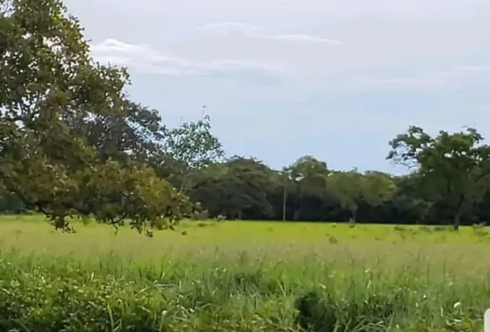 Fazenda no municipio de Rio Negro-MS