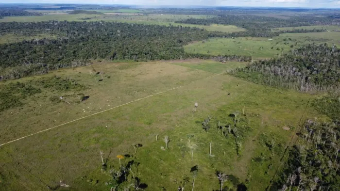 Fazenda a venda 125km PVH RO/423 hec