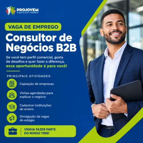 Consultor de Negócios B2B