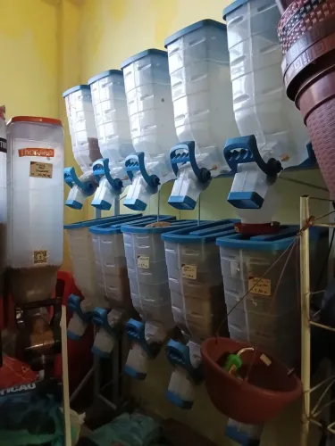 Dispenser de Ração Profissional para Pet Shop