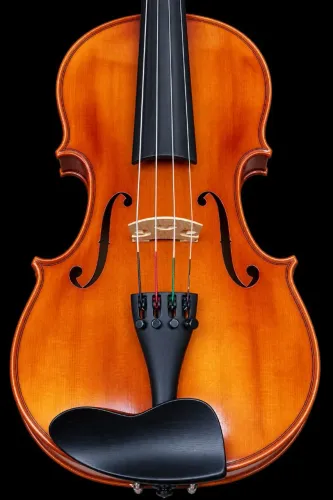 Viola