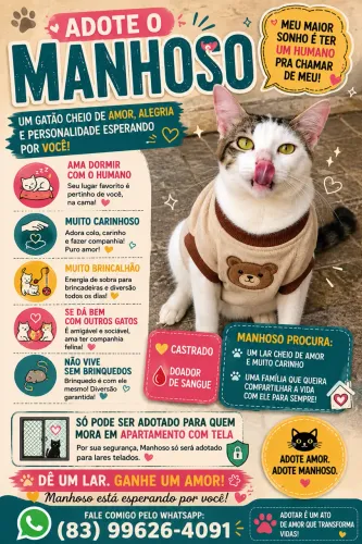 Doação de gatos