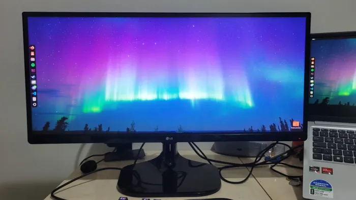 Monitor LG UltraWide 25" IPS Full HD (25UM58) - Seminovo