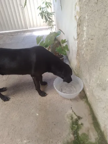 Doação 