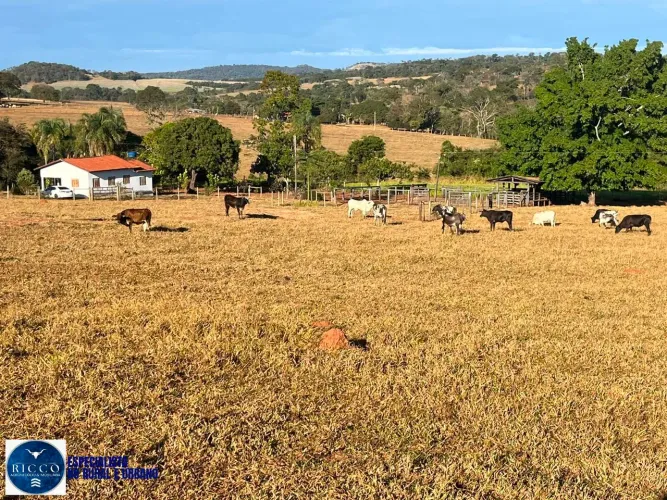 Chácara à Venda em Petrolina de Goiás GO | 2 Alqueires e 53 Litros |