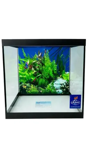 Aquario Cubo (LEIA ANUNCIO)
