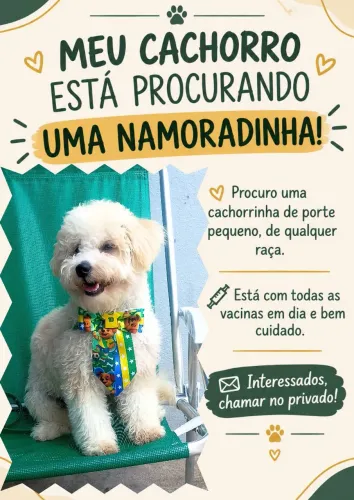 Busco namorada