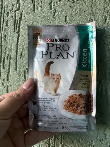 Ração gato