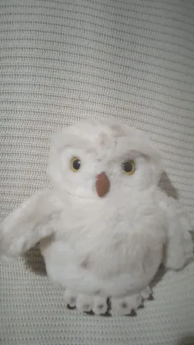 Pelucia coruja linda 