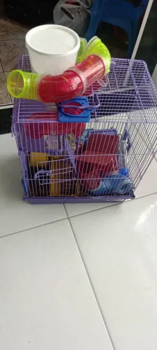 Gaiola de hamster