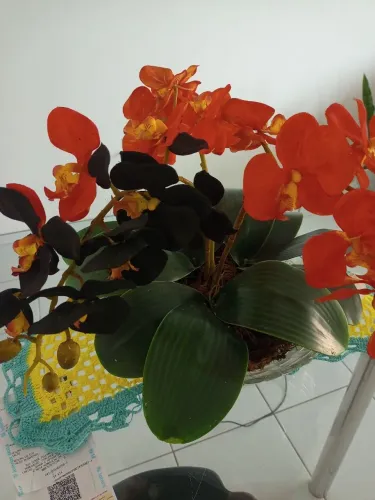 Vaso de orquídeas Artificial