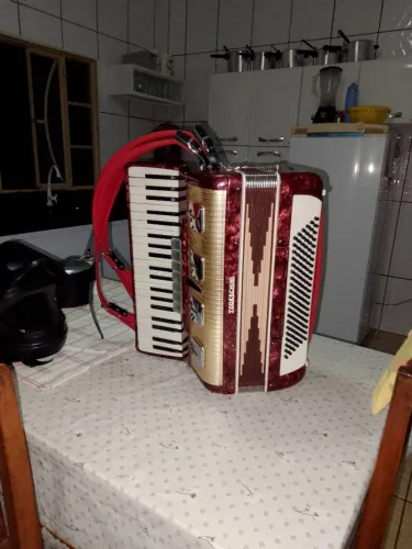 Acordeon Todeschini 120 baixos surpe 6