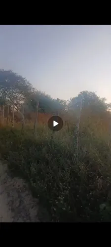 Vendo terreno no sítio maracajá 
