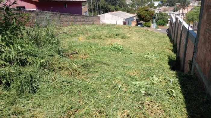 Terreno, lote