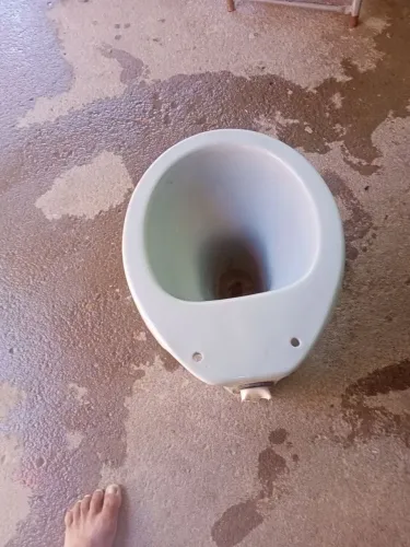 Vaso sanitário lagosa