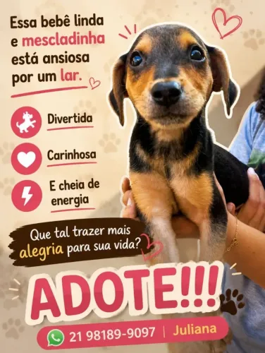 Filhotes para adocao