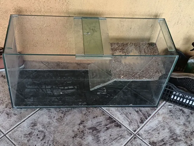 Vendo